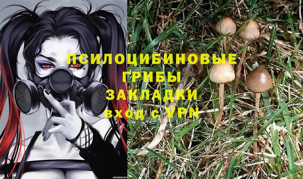 дживик Наволоки