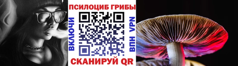 Купить закладки  Полысаево  Галлюциногенные грибы Psilocybe 